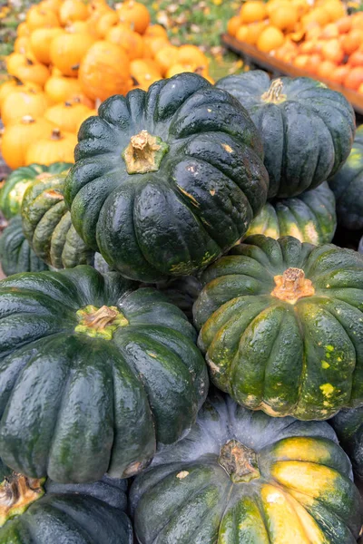 Different Kinds Pumpkins Autumn Market Austria — Stock Photo, Image