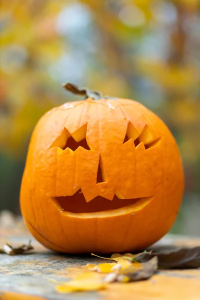 Halloween Dynia Jesień Martwa Natura — Zdjęcie stockowe