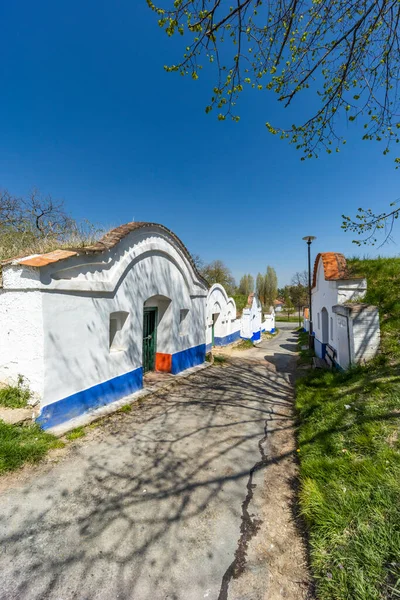 Group Typical Outdoor Wine Cellars Plze Petrov Southern Moravia Czech — Stock Photo, Image