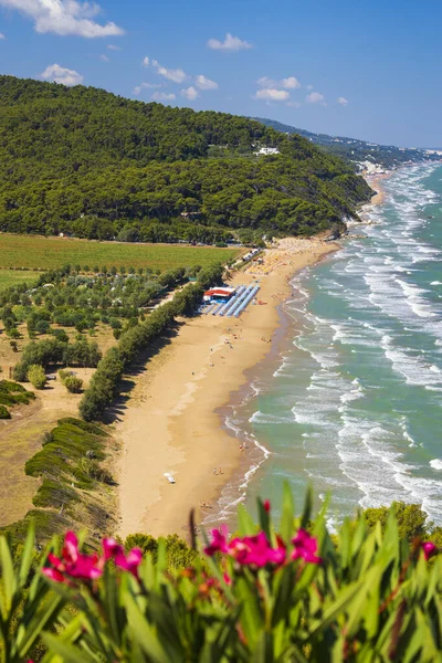 Plaża Baia Calenella Vico Del Gargano Foggia Włochy — Zdjęcie stockowe