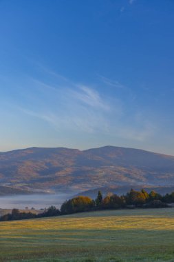 Altın sonbahar ağaçları ve sisli tepeler Parlak bir sabah gökyüzü altında Sakin bir sahne oluşturur