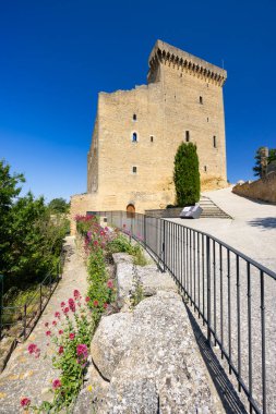 Chateauneuf-du-Pape Kalesi kalıntıları, Cotes du Rhone, Fransa