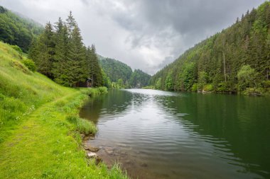 Dedinky ve Stratena yakınlarındaki Hnilec nehri, Slovakya Ulusal Parkı Cenneti,