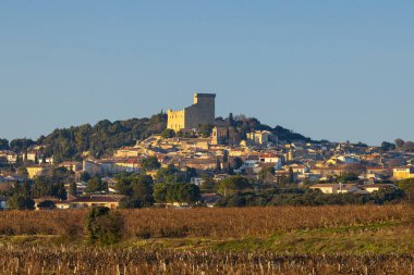 Chateauneuf-du-Pape yakınlarında taşları olan tipik üzüm bağları, Cotes du Rhone, Fransa