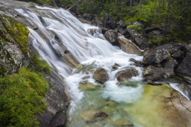 Slovakya 'nın yüksek Tatras dağlarındaki Soğuk Akıntı (Dlhy vodopad Studeneho potoka) şelalesi