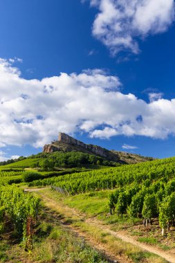 Üzüm bağı olan Solutre Kayası, Burgundy, Solutre-Pouilly, Fransa