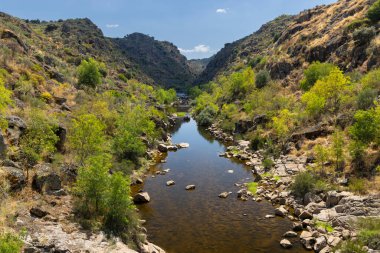 Park Arqueologico Vale do Coa (Coa Valley), UNESCO sitesi, paleolitik kaya resimleri, Kuzey Portekiz, Portekiz