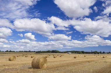 Fransa 'nın Loire bölgesinde saman balyalarıyla dolu bir arazi.