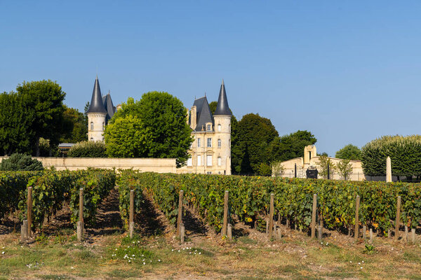 Типичные виноградники недалеко от Шато-Пишон-Лонгвиль Барон, Бордо, Аквитания, Франция