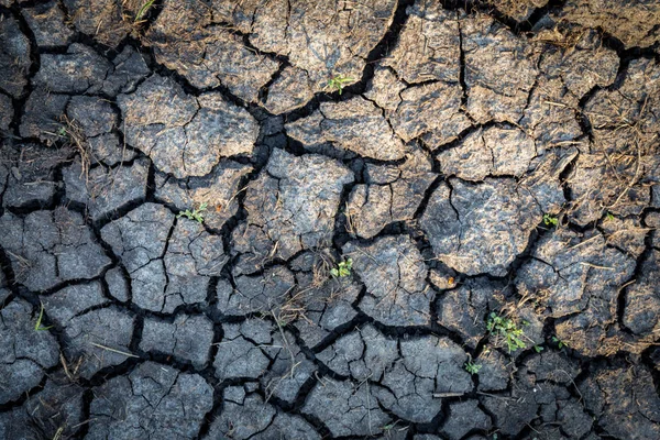 地球表面の抽象的な背景をクラック — ストック写真