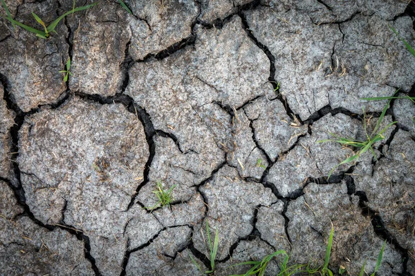 Surface Terre Fissurée Fond Naturel Abstrait — Photo