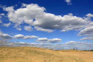 kumlu çölde güzel yaz sahnesi