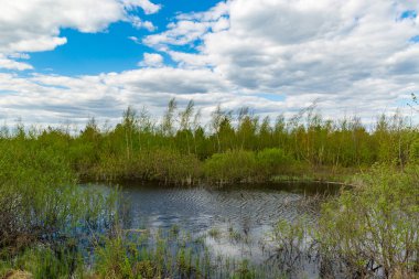 bataklık küçük göl ile manzara
