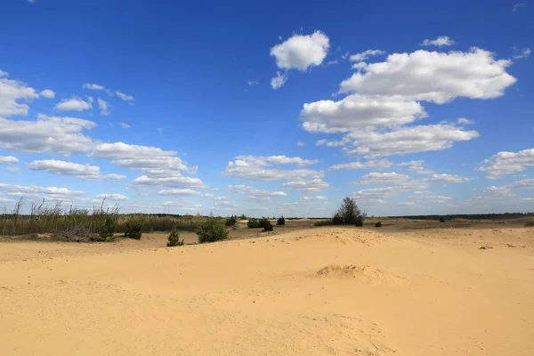 Прекрасное Небо Облаками Над Песчаной Пустыней — стоковое фото