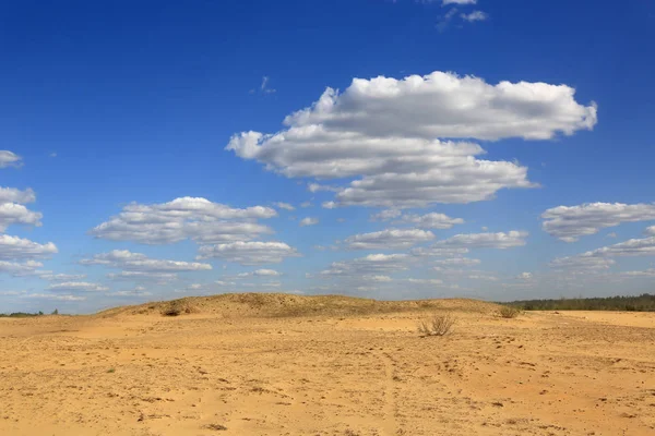 Colores Amarillos Azules Del Desierto Arenoso — Foto de Stock