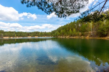 Çam ormanı içinde güzel göl