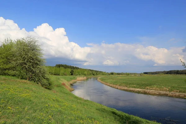 Nice spring landscape with river