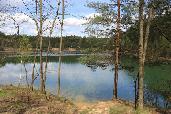 Landskap Med Sjö Tallskogen — Stockfoto