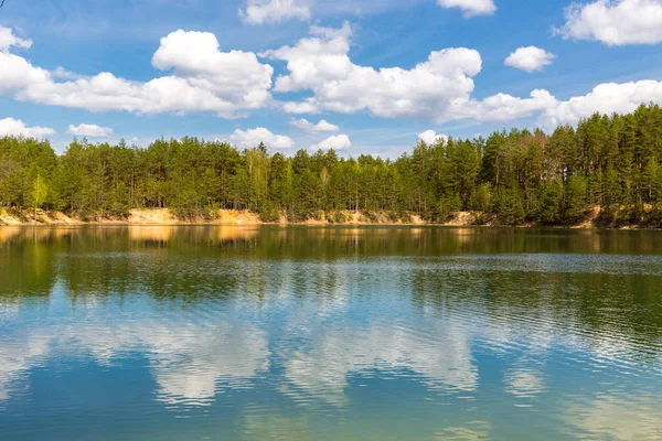 Nice Sunny Day Lake Pine Forest — Stock Photo, Image