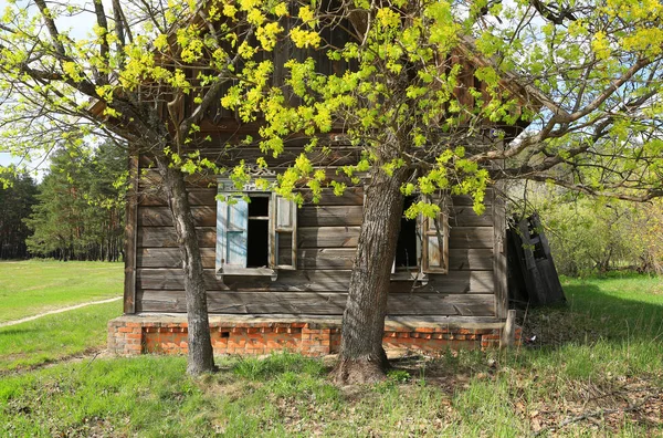 Потерянный Сельский Деревянный Дом Весеннем Лесу — стоковое фото