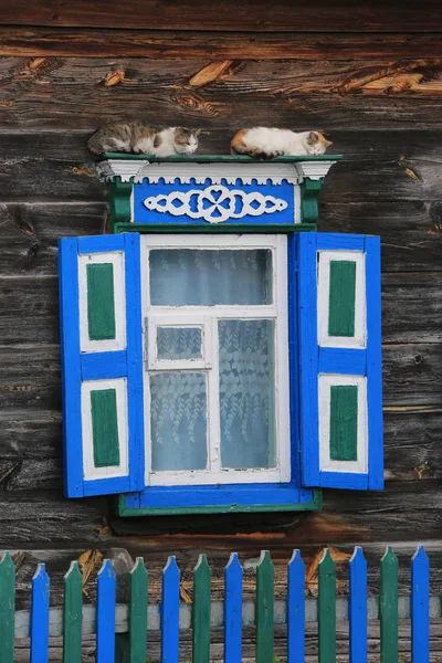 Nice Cats Window Old Wooden Rural House — стоковое фото