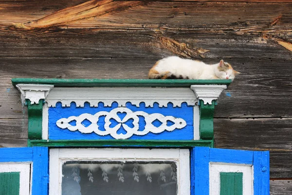 Fanny Kedi Uyku Kırsal Evde Ahşap Pencere Üzerinde — Stok fotoğraf