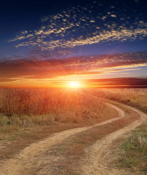 Mooi Susnet Sleur Roat Steppe — Stockfoto