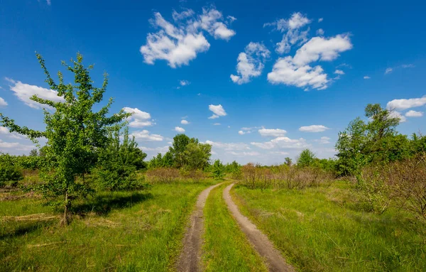 Krajobraz Koleiny Drogi Zielony Step Pod Rozmycie Niebo Chmurami — Zdjęcie stockowe