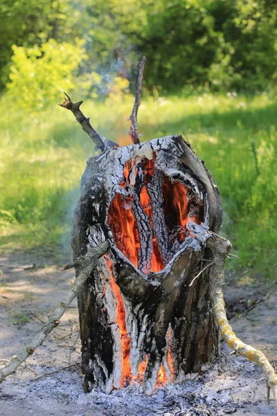 Hete Brandend Hout Het Bos — Stockfoto