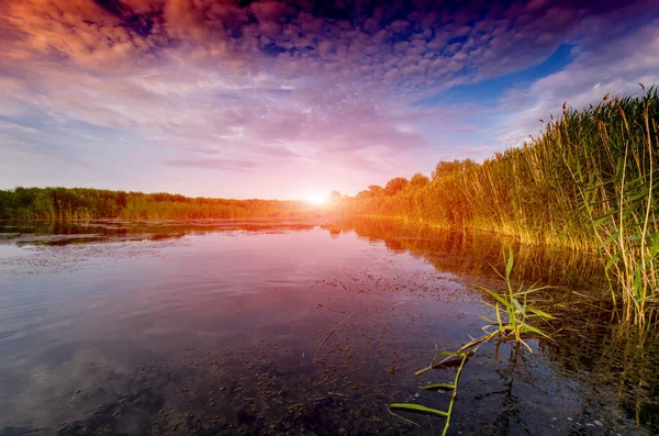 湖での素敵な夕日のシーン — ストック写真
