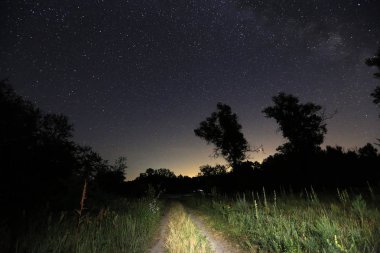 bozkır gece gökyüzünde yıldızların altında yol