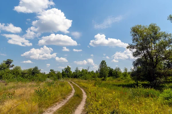 Paysage Avec Route Campagne Sous Beaux Nuages Dans Steppe Été — Photo