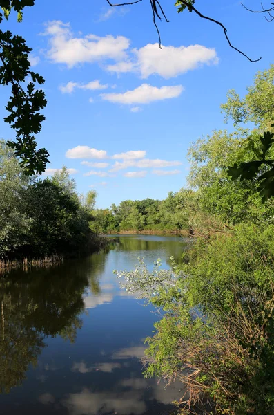 Bella Giornata Estiva Sul Fiume — Foto Stock