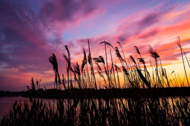 Sazlık Nehri güzel günbatımı gökyüzü altında