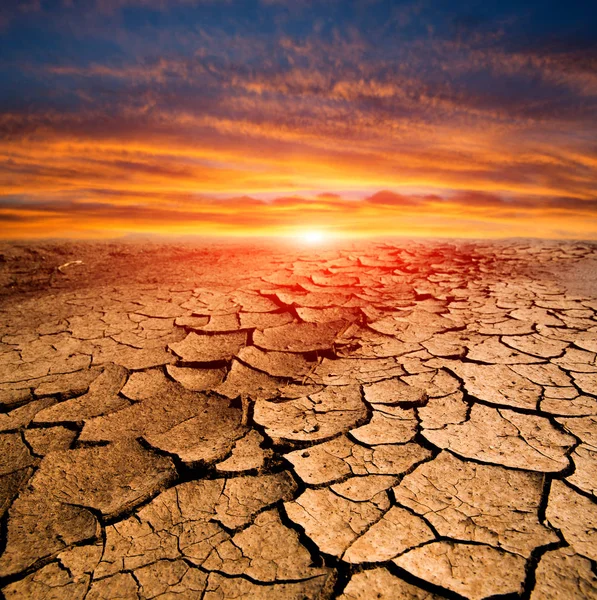 Coucher Soleil Sur Surface Terre Fissurée Dans Désert — Photo