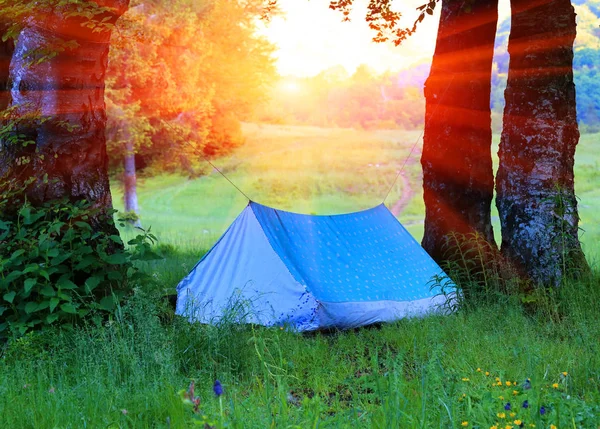 Landscape Tourist Tent Green Grass Forest — Stock Photo, Image