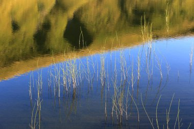 Mavi Göl su soyut lahanası