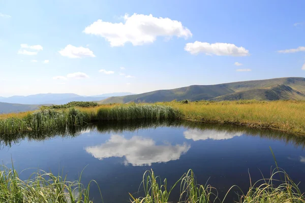 Piccolo Lago Sul Prato Montagna — Foto Stock