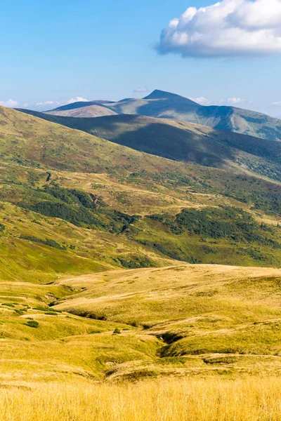 Bel Paesaggio Con Vista Sulla Valle Montagna Carpazi Ucraina — Foto Stock