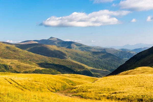 在喀尔巴阡山山谷的风景与黄色草甸 — 图库照片