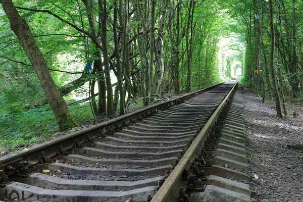 Railway Road Summer Forest — Stock Photo, Image