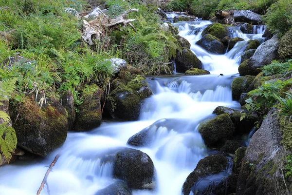 Litet Vattenfall Mountain Brook — Stockfoto