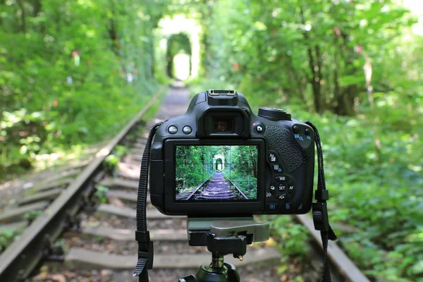 Abstract Dslr Camera Railway Forest — Stock Photo, Image