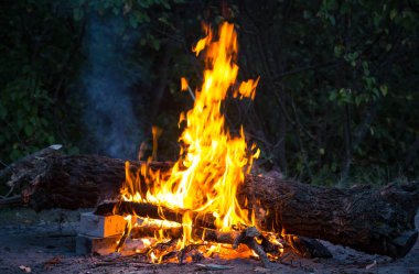 karanlık ormanda kamp ateşi ve sıcak alev