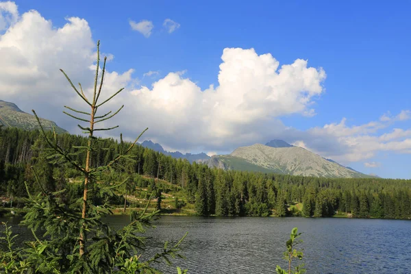 Lake Tatra Gebergte Slowakije — Stockfoto