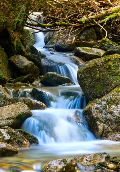 Paisagem Com Pequena Cachoeira Riacho Montanha — Fotografia de Stock