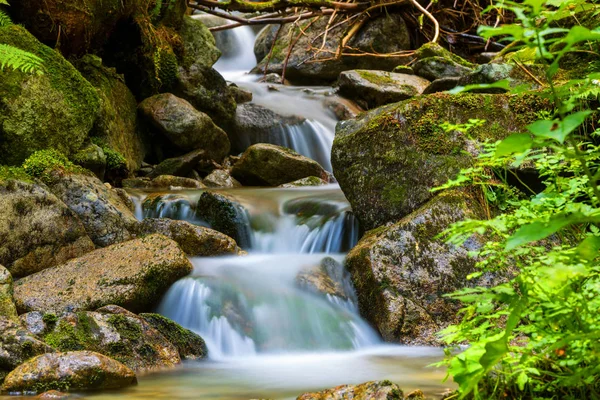 Vodopád Horský Potok Lese — Stock fotografie