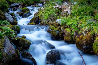 Dağ dere üzerinde şelale ile güzel manzara