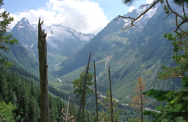 Güzel Dağ Vadisi Caucasus Görünümüne — Stok fotoğraf