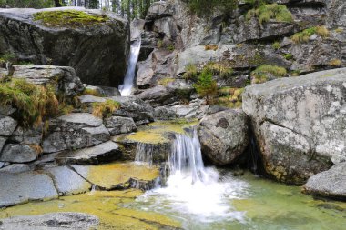 dağ dere üzerinde güzel şelale